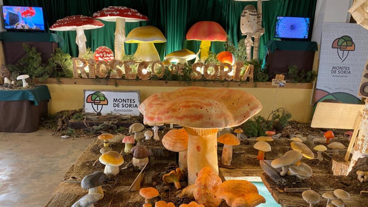 Una de las exposiciones del Tour de la pasada primavera.-HDS