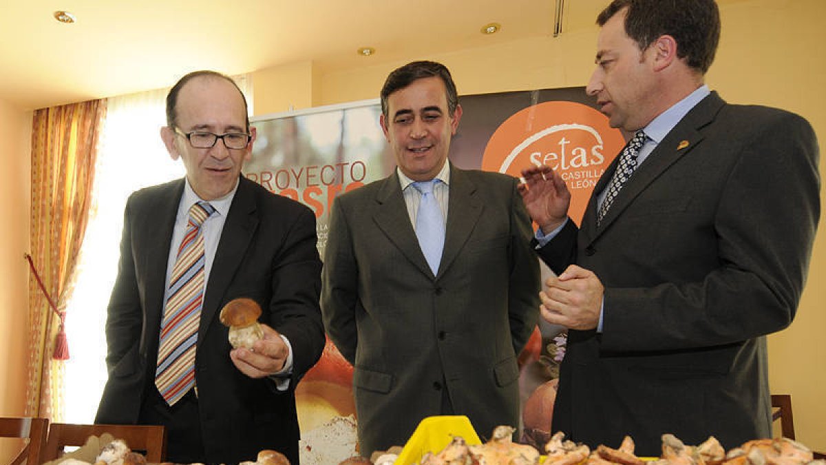 Presentación de la marca Setas de Calidad de Castilla y León ayer en Almazán. / VALENTÍN GUISANDE-