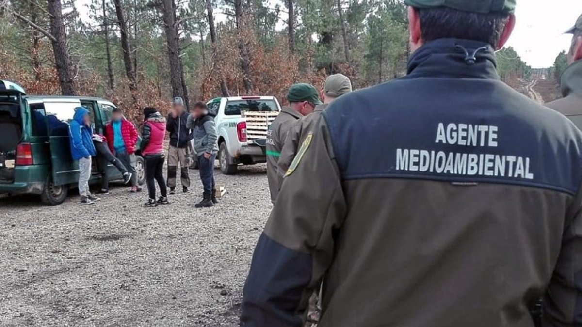 Una actuación de control en un monte de la provincia.-HDS