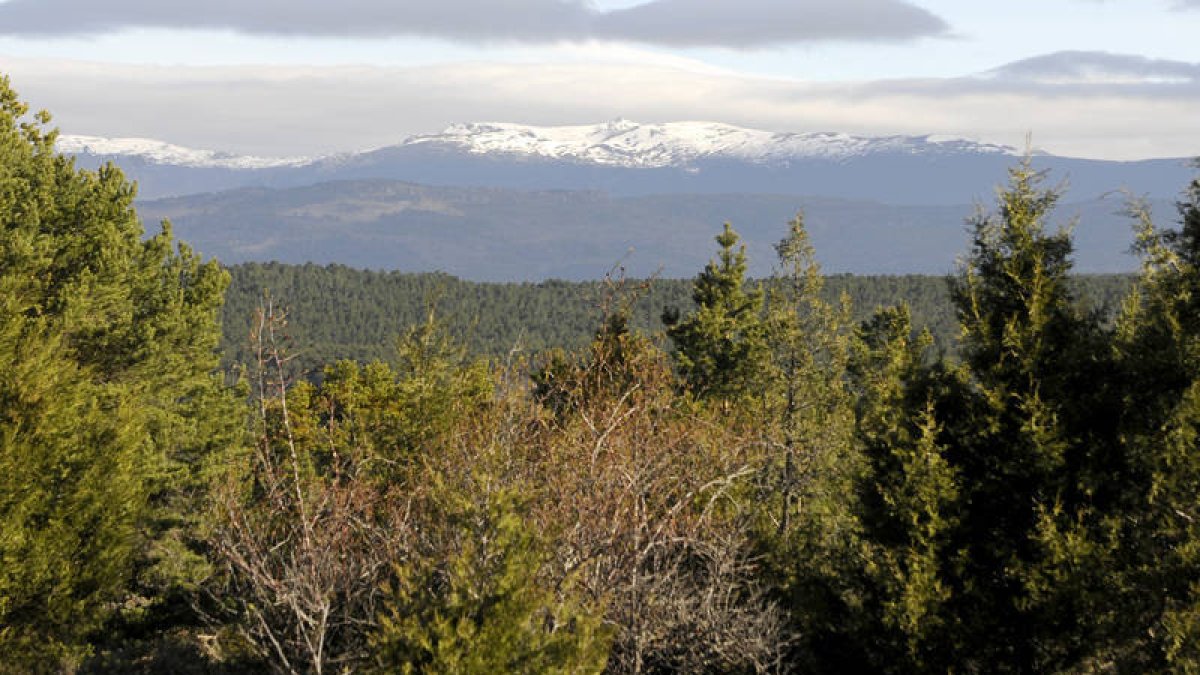 Paraje de los Picos de Urbión donde se perdieron los montañeros. /V. G. -
