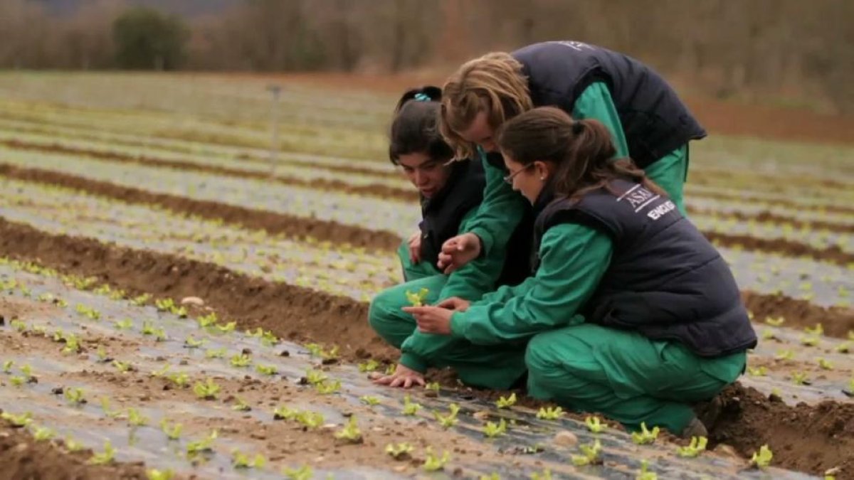 Tres jóvenes trabajando en un proyecto de la Caixa.-EM