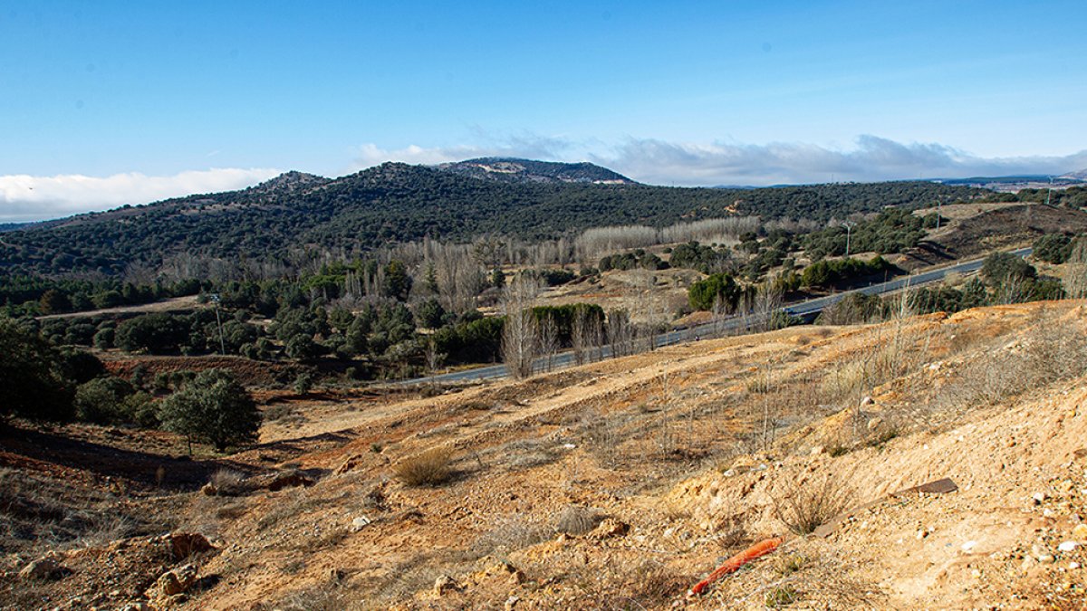 Zona de Los Royales donde se ubicará el CAR - MARIO TEJEDOR