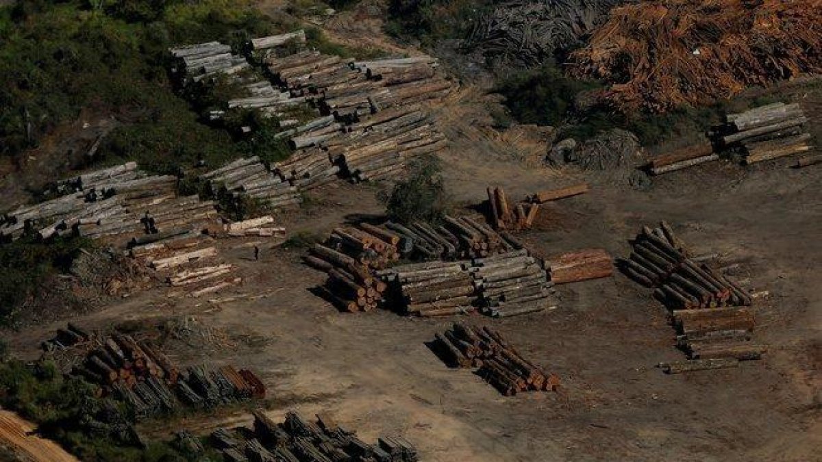 Muestras de la deforestación por la tala ilegal en el Amazonas de Brasil.-REUTERS