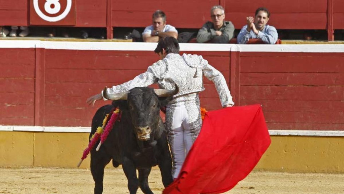 Detalle de la novillada de San Saturio en 2016.-MARIO TEJEDOR