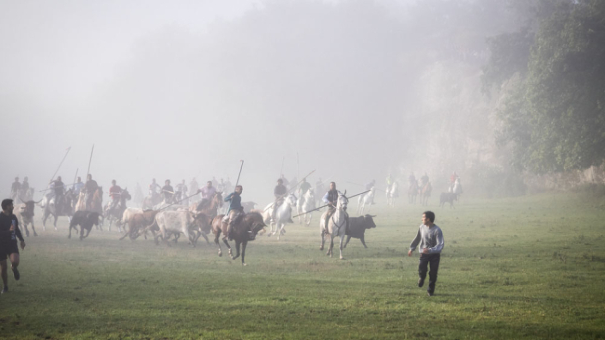 Caballistas en el encierro del Lavalenguas de este 2023.