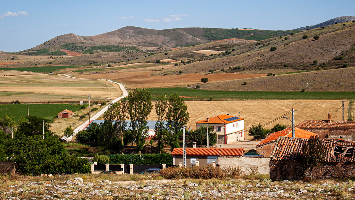 Vista de Aldealpozo, con el Camino de Tajahuerce al fondo. MARIO TEJEDOR