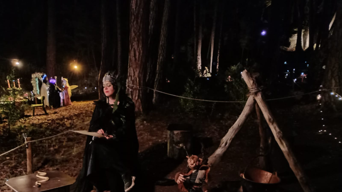 El Bosque Mágico celebra su Noche Iluminada.