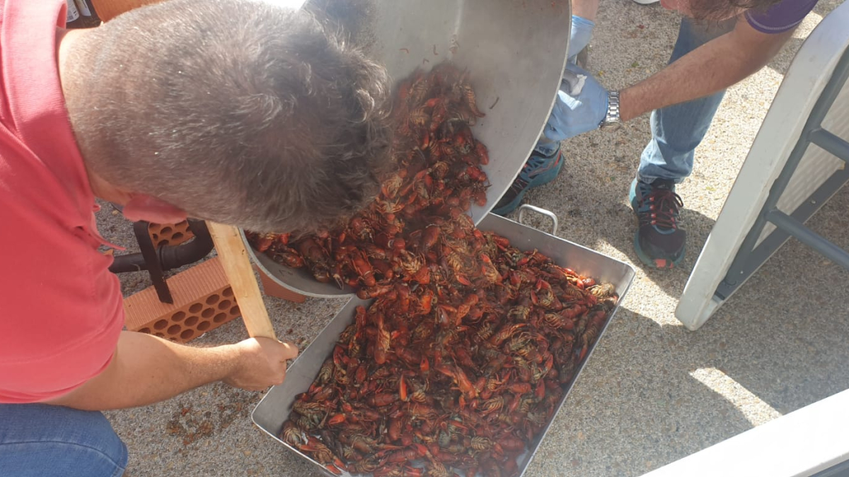 Duruelo de la Sierra celebró su primer Cangrejo Fest.