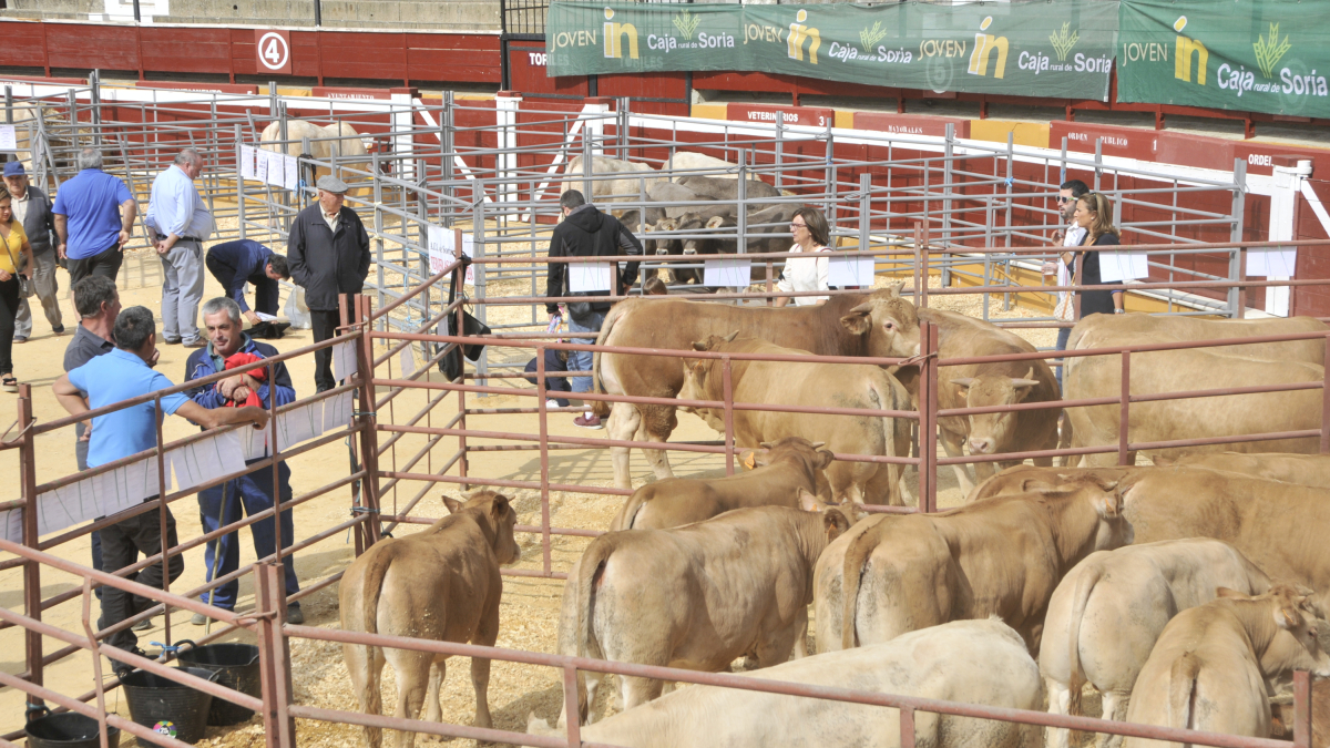 Imagen de una feria ganadera en la plaza de toros.