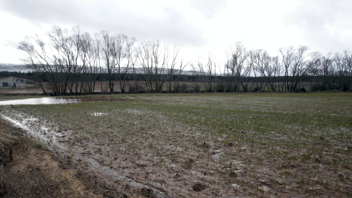 Campo en la provincia de Soria.