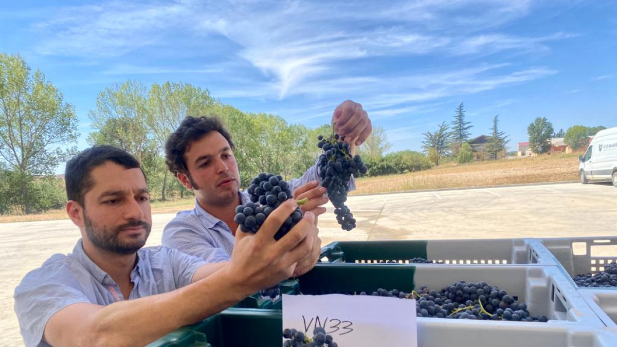 Los hielos de la primavera han dejado la producción en un 15%