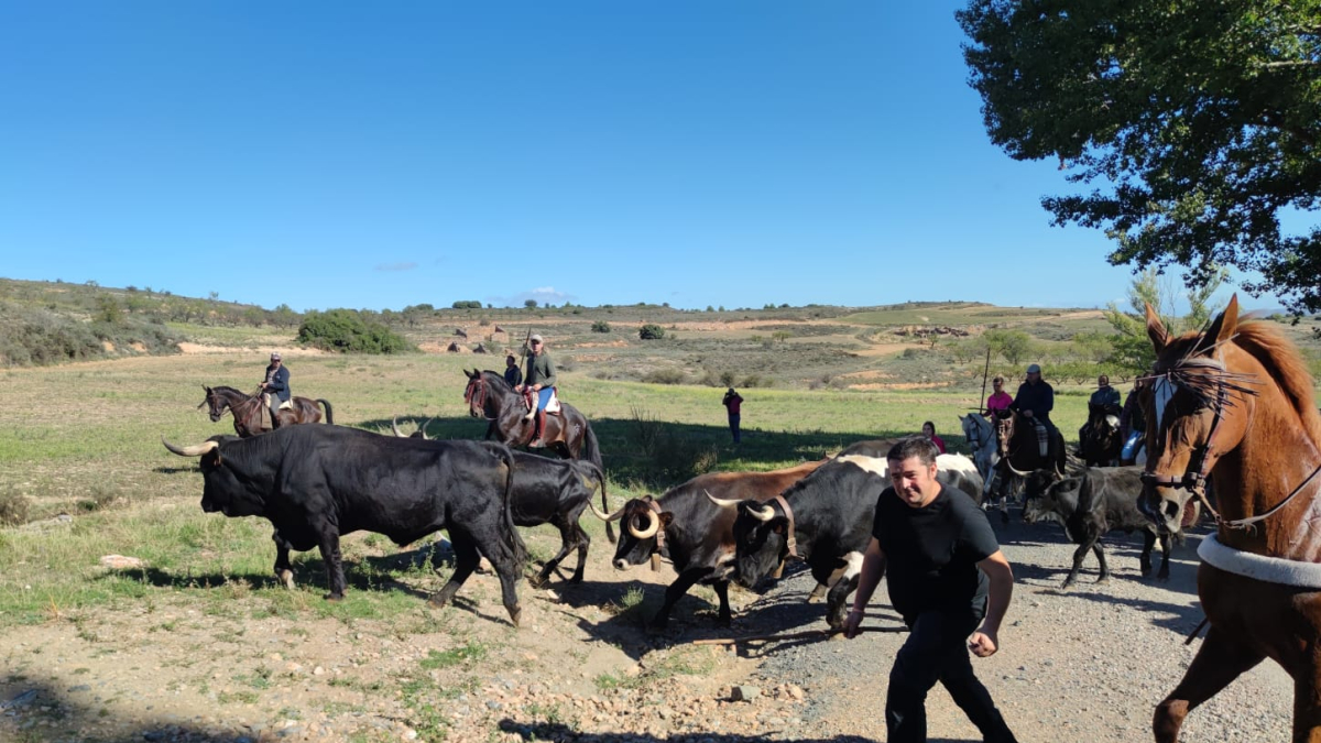 Ágreda celebra su Trashumancia.