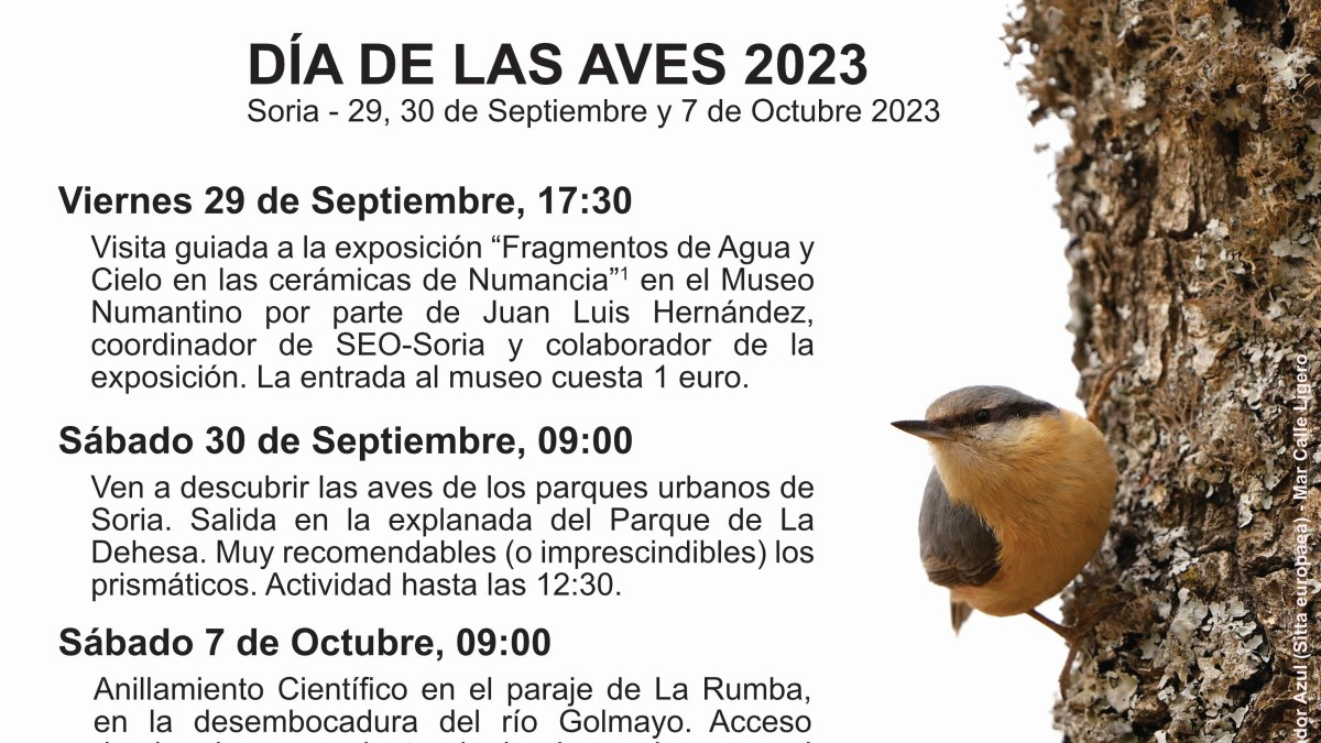 Programa para conmemorar el Día de las Aves en Soria.