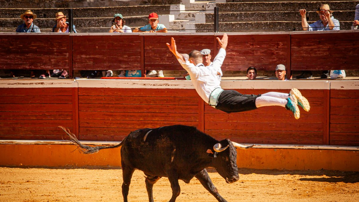 Espectáculo matinal de la feria taurina