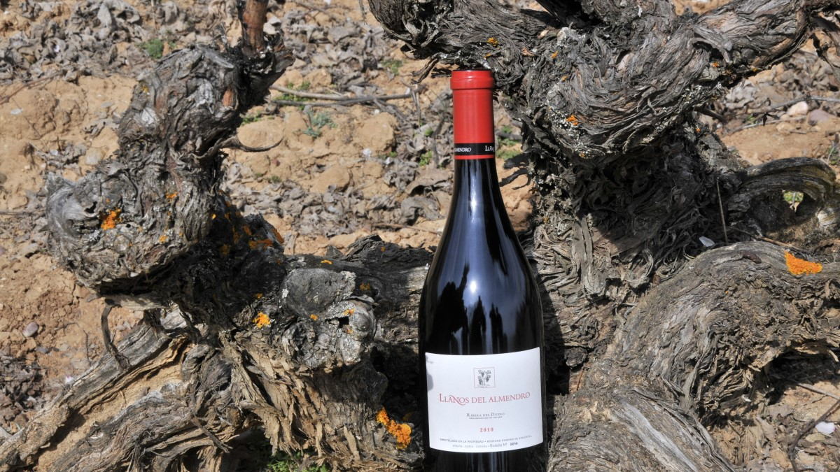 Una de las referencias de las bodegas Dominio de Atauta en la Ribera del Duero de Soria.