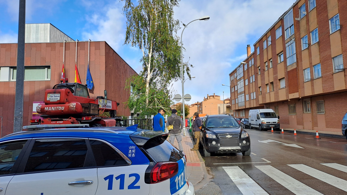 El viento provocó la caída de ramas a la acera.