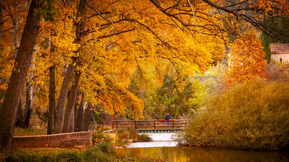 Otoño engrandece Soria con magníficos colores
