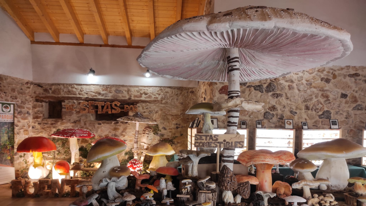 Exposición en Fuentetoba.