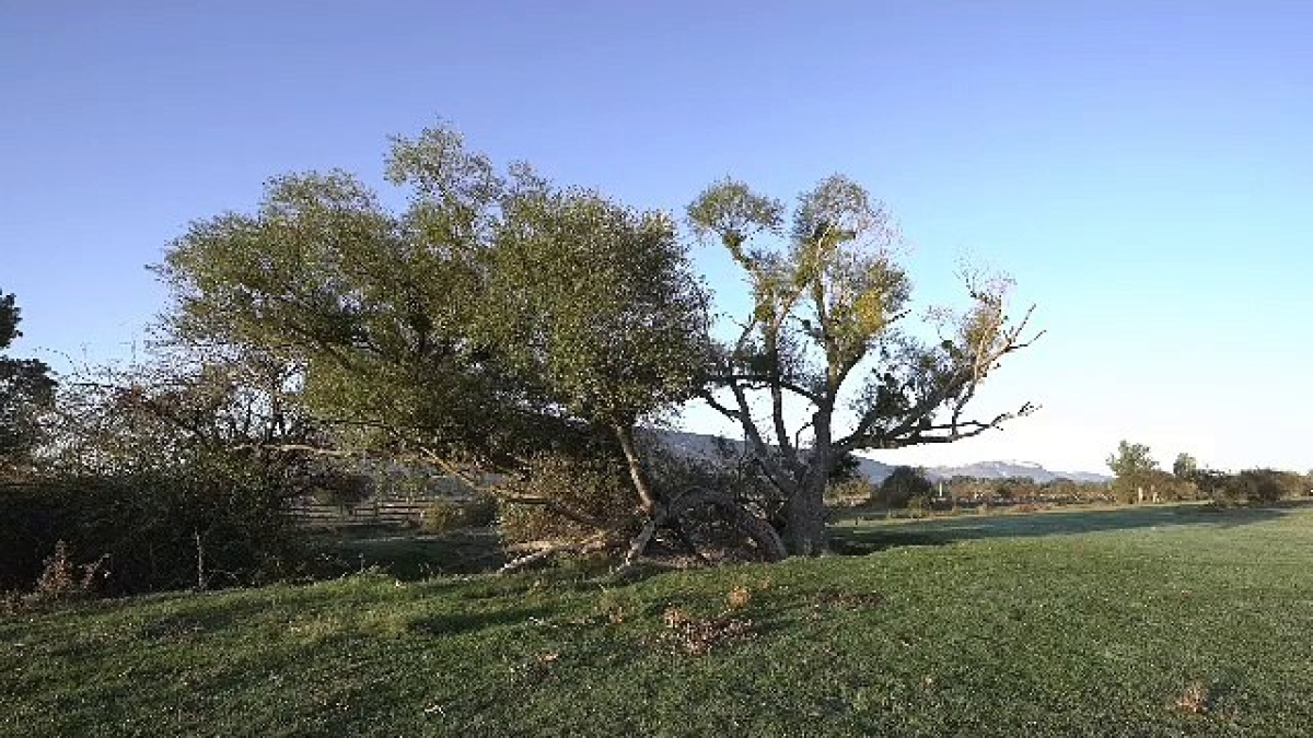 Valonsadero acogerá los días 18 y 19 de noviembre el Cross de Soria, un evento que esta edición batirá todos sus récords y supondrá para la ciudad un impacto superior al millón de euros.