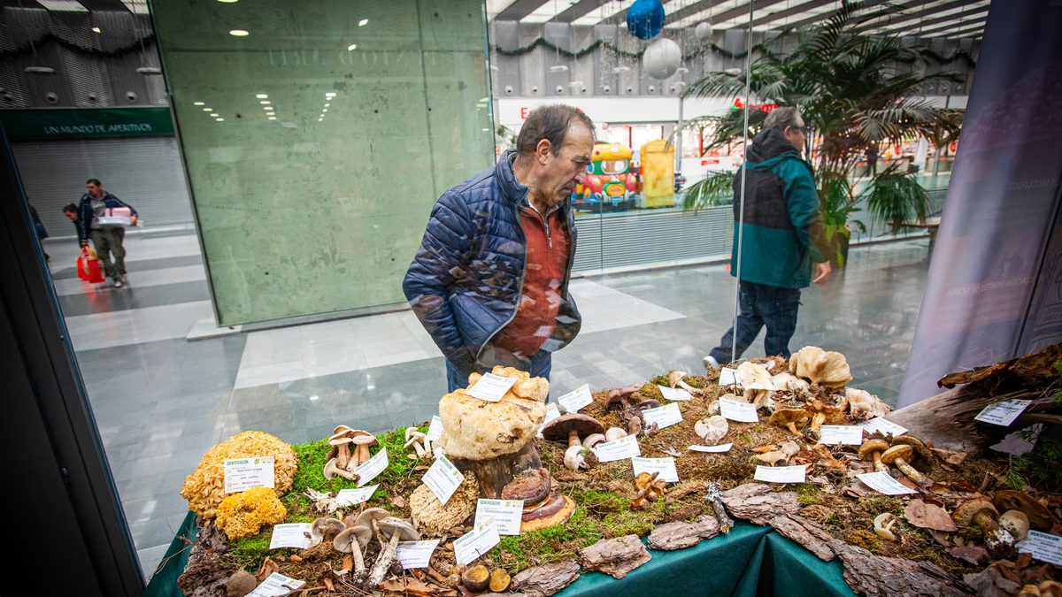 Muestra en el Centro Comercial Camaretas