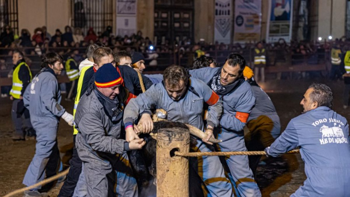 El Toro Jubilo se celebra siempre el segundo sábado de noviembre.