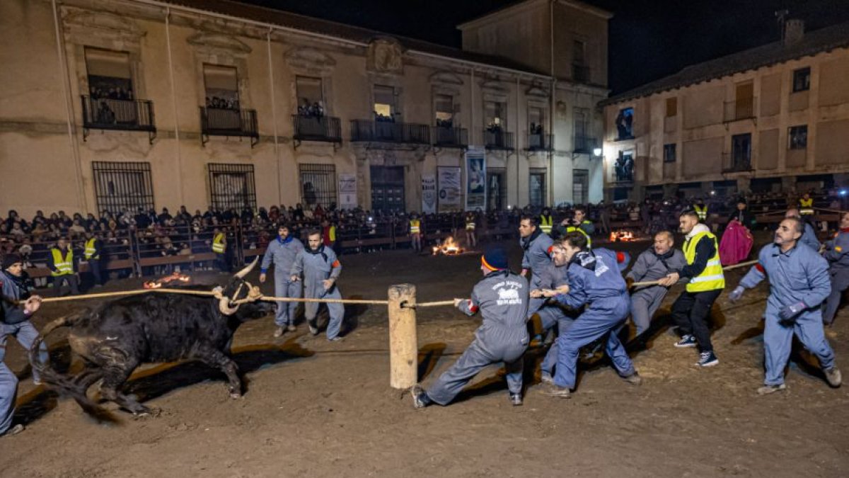 El Toro Jubilo se celebra este sábado, 15 de noviembre.