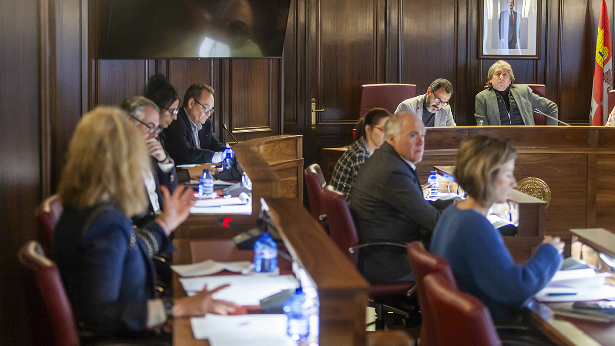 Pleno del Ayuntamiento. - MARIO TEJEDOR