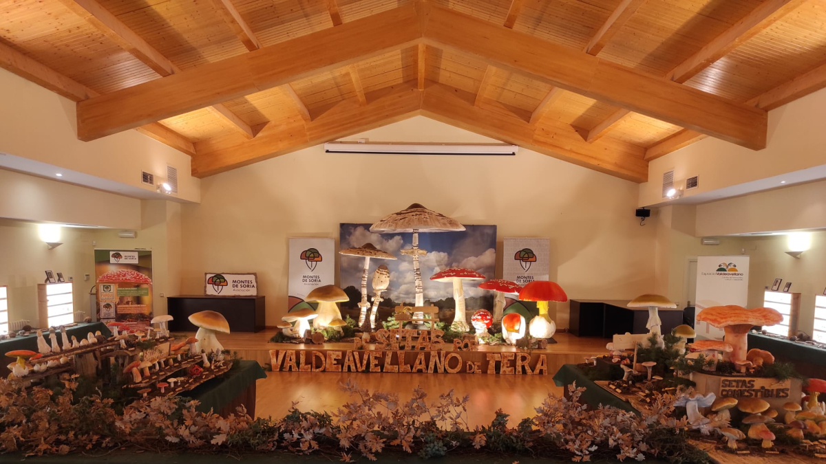 Muestra en Valdeavellano.