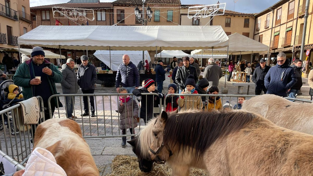 La Feria de Berlanga recupera la presencia de animales