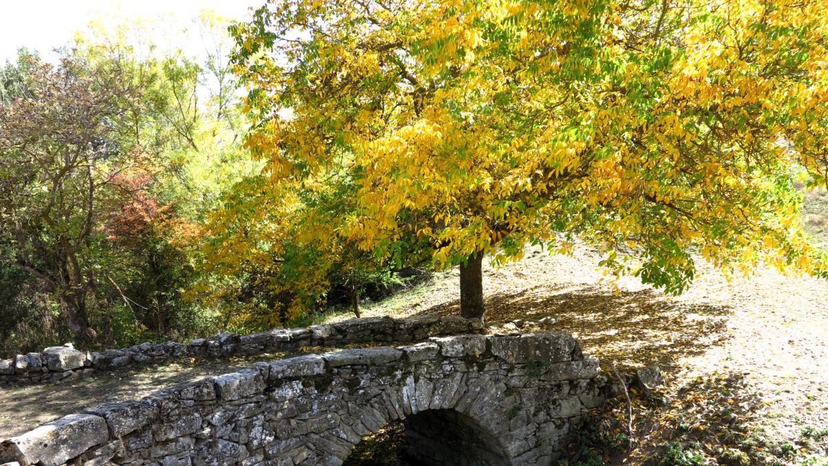 La naturaleza es un pilar muy importante en Tierras Altas.