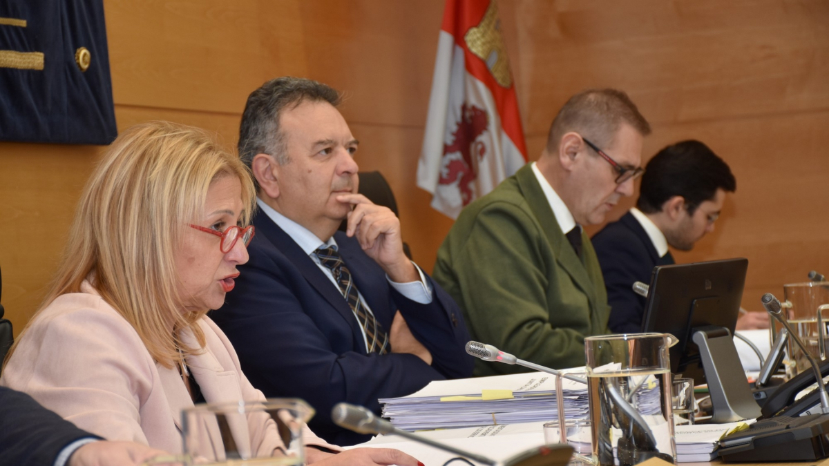 La delegada Yolanda de Gregorio durante su intervención en las Cortes.HDS