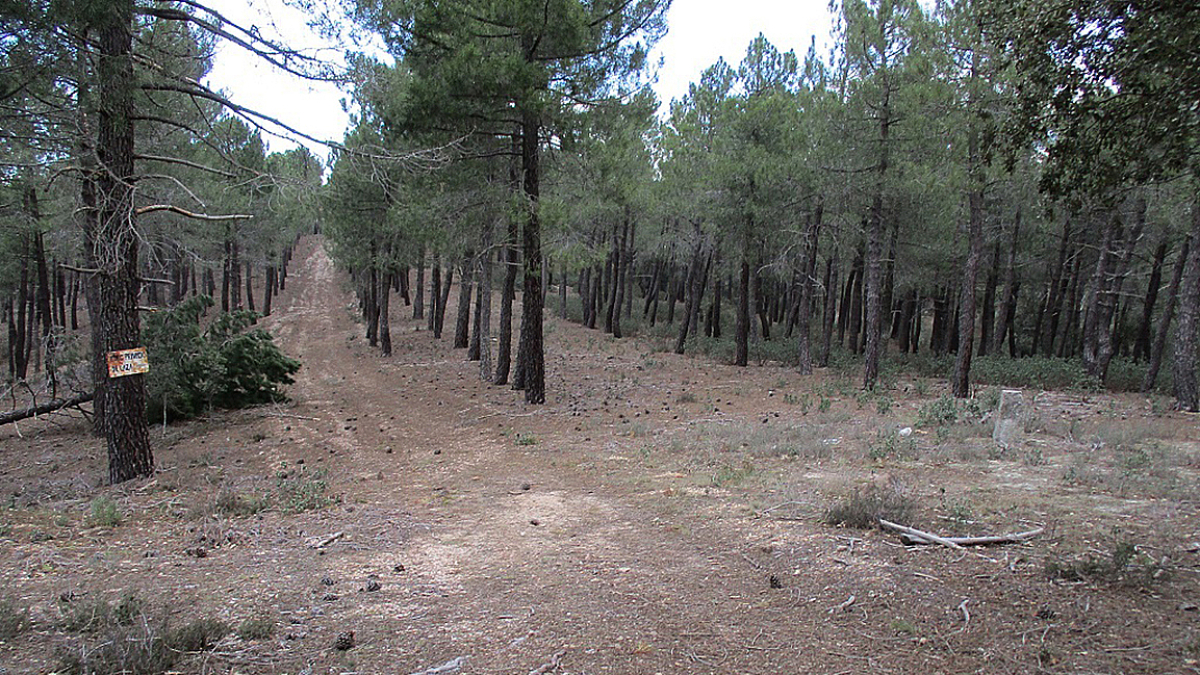 Paraje en el que tuvo lugar el crimen, en el término de Lubia.