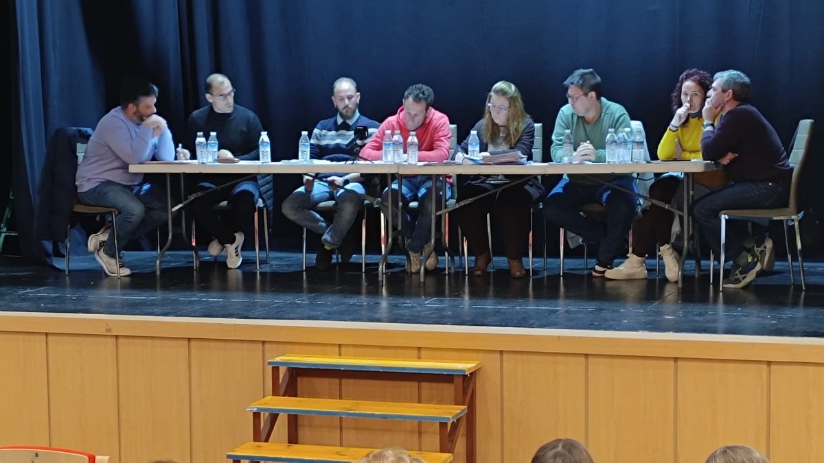 Imagen del pleno celebrado en Navaleno.