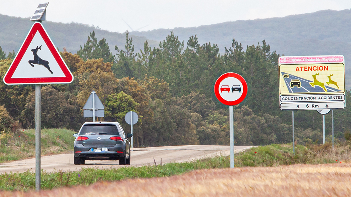 Señalización de tramo con accidentes viales por animales. - MARIO TEJEDOR