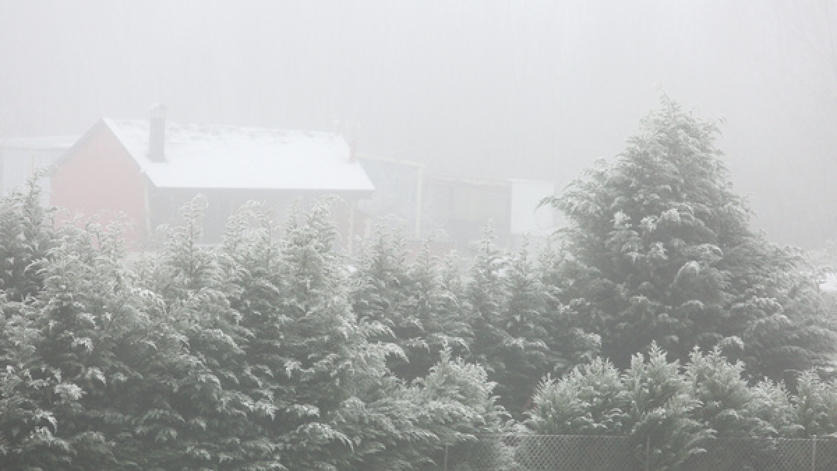 Se prevé niebla y frío en toda Castilla y León.