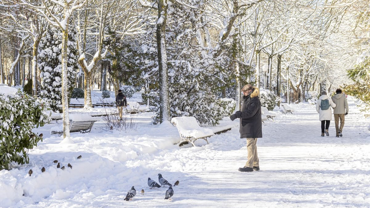 Varias personas en la Dehesa tras una fuerte nevada en Soria.