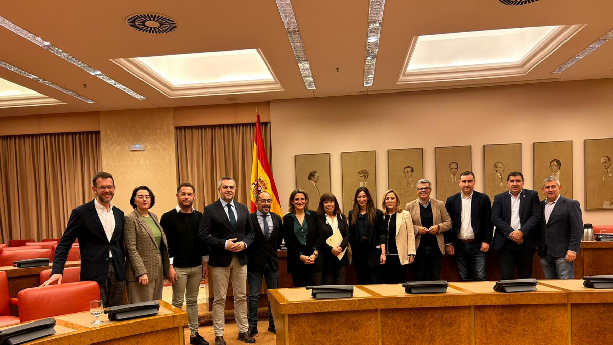 Comisión del Reto Demográfico.