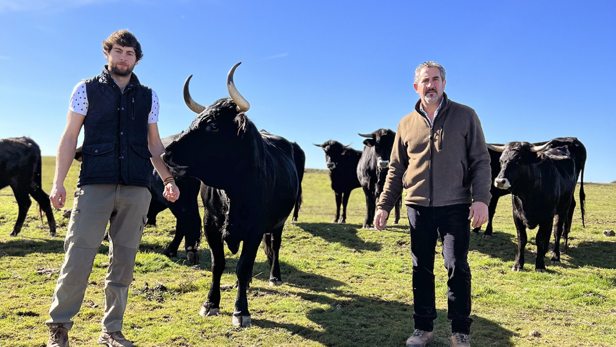 José María Manchado y su hijo, José Carlos Manchado con las vacas de Serrana Negra que pastan en La Muela.