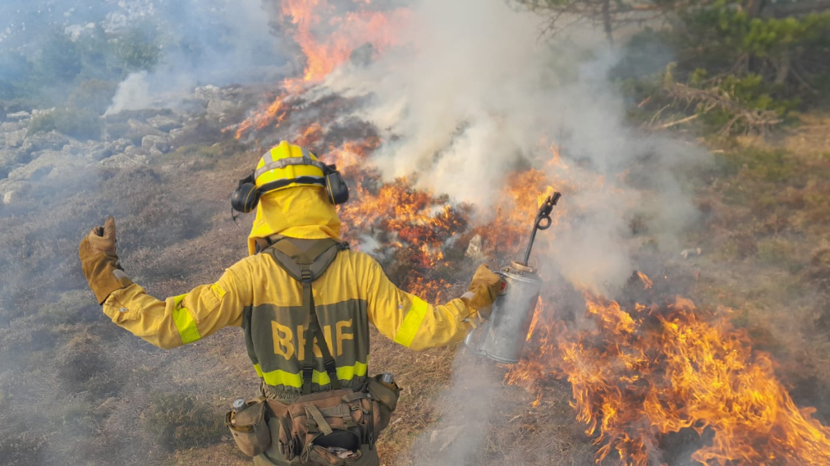 Un bombero forestal con una antorcha por goteo realiza una quema controlada en Sierra Cebollera.