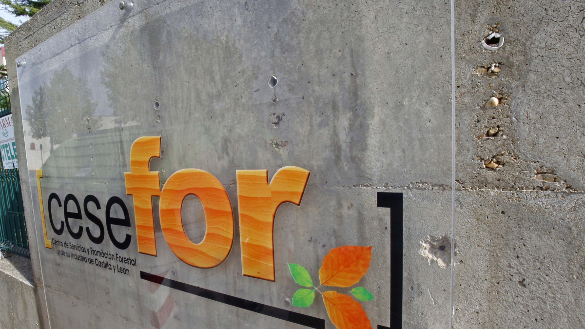 El Cesefor, uno de los principales beneficiarios de esta convocatoria de ayudas.