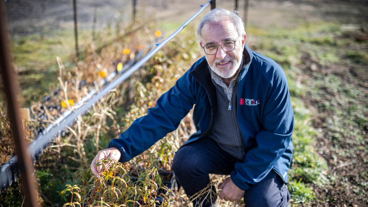 Luis Esteban, investigador del Ceder-Ciemat en Soria.