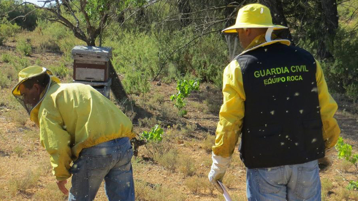 El equipo Roca de la Guardia Civil investiga los delitos que se producen en el campo.
