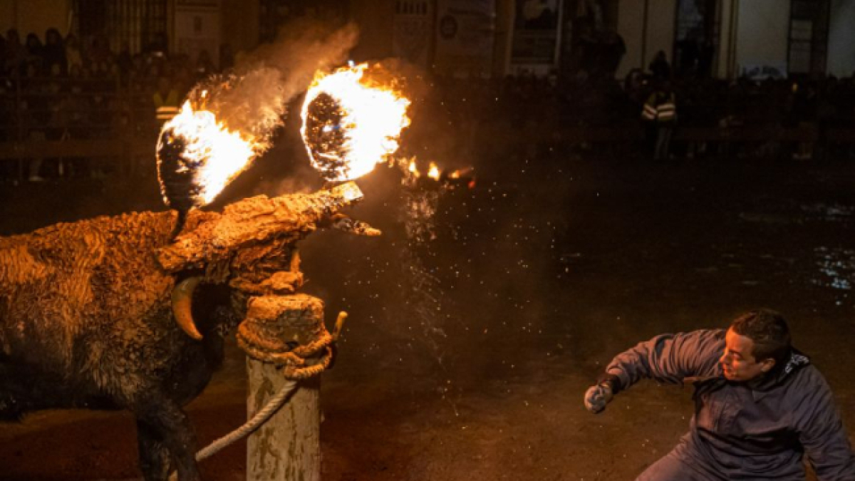 Toro Jubilo de Medinaceli en noviembre de 2023.