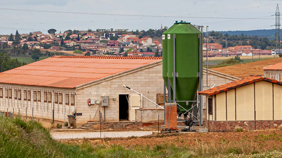 Granja de cerdos en la provincia