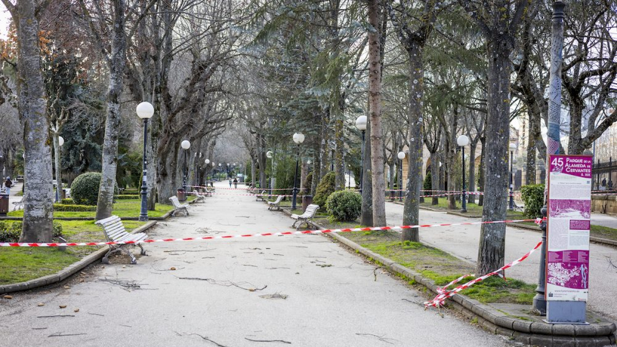 Cortes en la Dehesa por caída de ramas