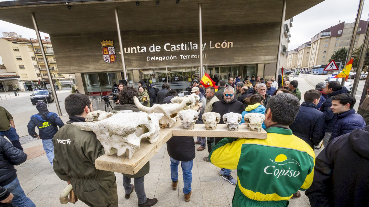 Reivindicación de la labor medioambiental de la ganadería extensiva