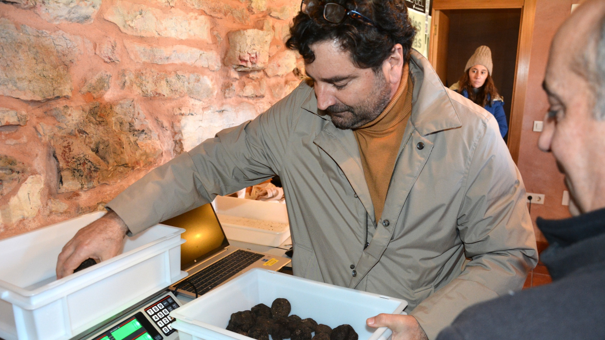 Clasificando trufas de un lote para sacar a subasta