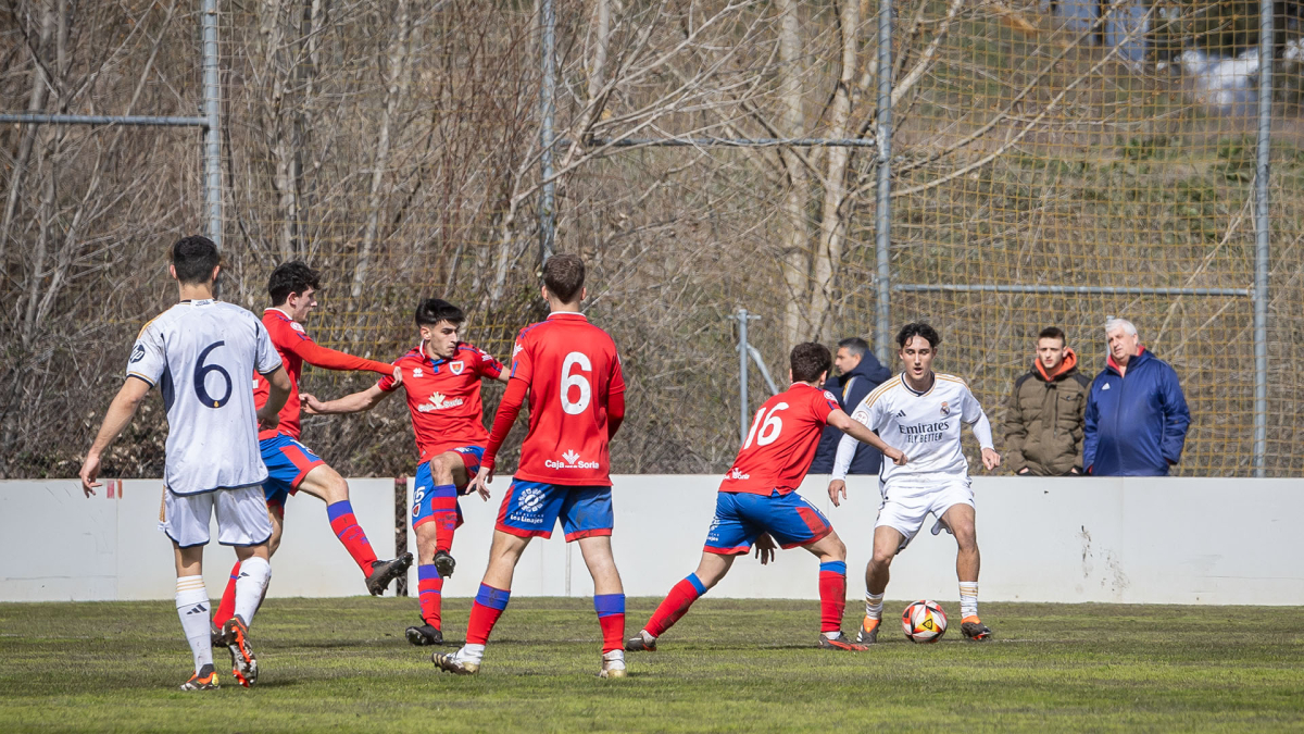 El Numancia Juvenil está obligado a ganar al Alcorcón.