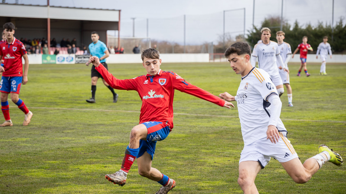 El Numancia Juvenil sucumbe ante el Real Madrid.