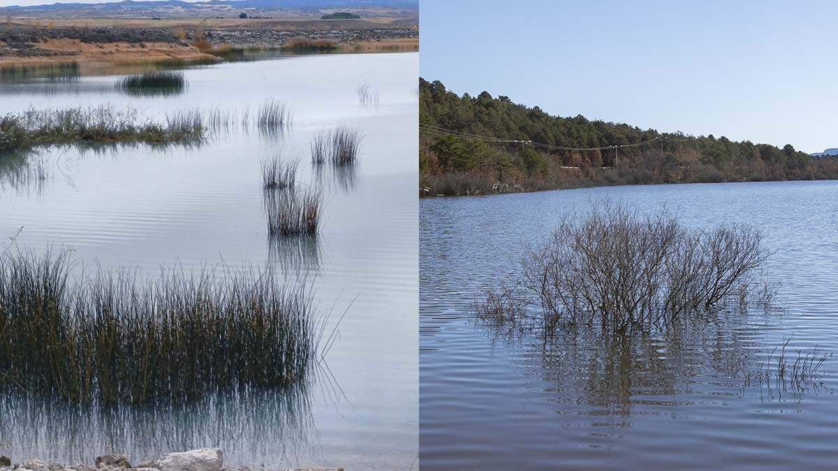 A la izquierda, el embalse de Monteagudo; a la derecha, Cuerda del Pozo.